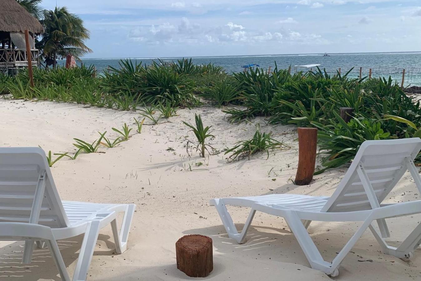 Casa Lucia Beachfront ปัวร์โตโมเรลอส ภายนอก รูปภาพ